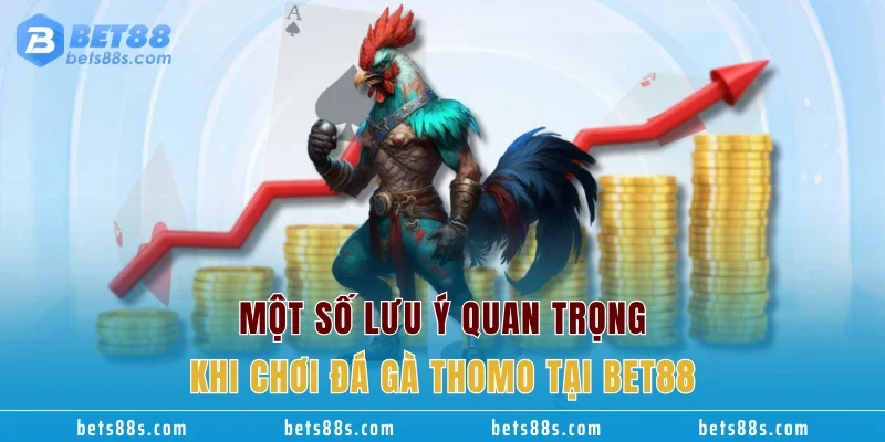 Một số lưu ý quan trọng khi chơi đá gà Thomo tại BET88